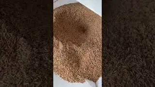 #ricemillplant #riceislife #ricelove