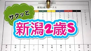 【ビビワーツ魔法学校】競馬ダウジング　新潟2歳ステークス