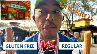 The best tasting GLUTEN FREE item in DISNEYWORLD Churro the Nomad Lounge Animal Kingdom Disneyworld