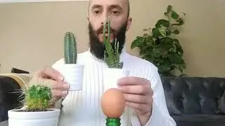HAŞLANMIŞ 🌵YUMURTA🌵KAKTÜS 🌵ETKİSİ