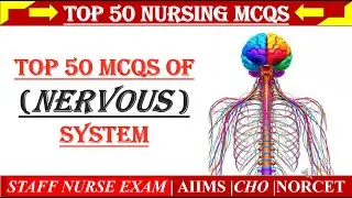 TOP 50 MCQs of Nervous System | Anatomy & Physiology | Nursing Exam Preparation (NORCET, RRB, AIIMS)