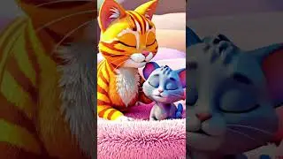 &ldquo;We Finally Have a Home.&rdquo; 🐾💗 | A Mother Cat&rsquo;s Whisper #catmomlove #healingstories #motherandkitten