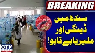 Dengue and Malaria Outbreak Out of Control in Sindh | Breaking News