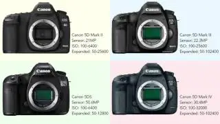 Canon 5D Mark IV ISO Performance