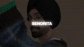 SENORITA - DILJIT DOSANJH ( SLOWED & REVERB )