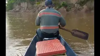 Pesca de coporos, palometas y bagres