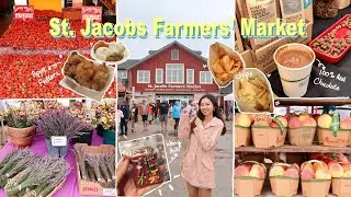 🇨🇦☀️Toronto Summer Vlog | St. Jacobs Farmers' Market at Waterloo🥕🍓