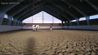 Pop-Corn - lungeing with Equiband
