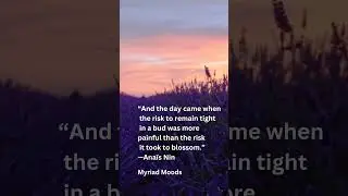 It's the time to Bloom! #motivation