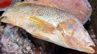 Nice Cutting Style | Coral Fish Cutting Skills Live New Video | Fish Cutting Skills