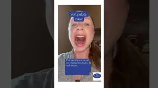 Soft palate raise