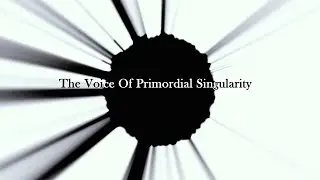 The Voice Of Primordial Singularity
