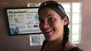 Visiting with Kittens at Kauai Humane Society