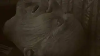 БСАГрязный Звук Prod Понт