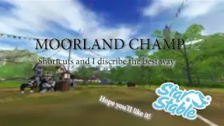 MOORLAND CHAMP - Shortcuts (littlebit)