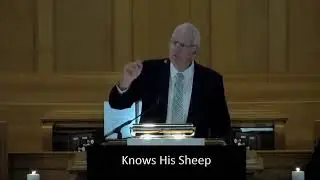 The Good Shepherd - Roaming Sheep