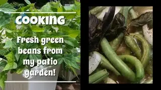 Recipe for Sweet Heat Green Beans