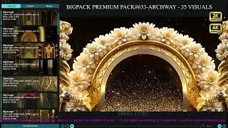 BigPack Premium Pack#633 - Archway  - 35 Visuals