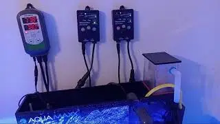 What does my little DIY Reef Tank cost?