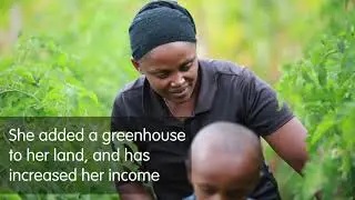 Kenya ~ Upper Tana-Nairobi Water Fund