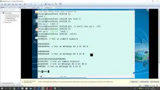 Analyse lexicale d'un Compilateur: TP1 LEX