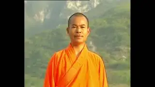 Shaolin Monk Teaching a Traditional Form