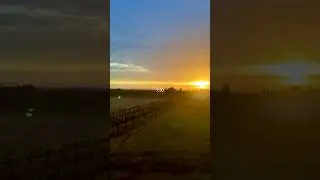 Road trip through California.#california #roadtrip #train #morning #sunrise #america #usa #travel