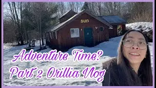 Mini Cottage Trip pt. 2// Grocery Shopping at Metro and Giant Tiger. MINI ADVENTURE!