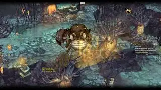 Tree of Savior Pyromancer gameplay [No commentary]