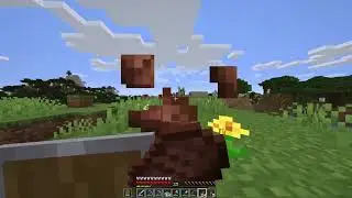 Survival World Tour: 1.16.4