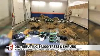19,000 trees to be distributed in Austin