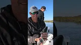 Salt Water Inshore Slam - We are SO good at fishing!