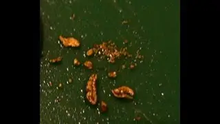 Running A Sample of Material From A Gold Source Creek