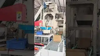 25kg Nail Weighing, packing and Cartoning Machine Production Line