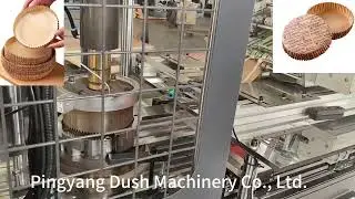 DS-F01 Automatic Counting Paper Kitchen Baking Tray Forming Machine #bakingtray #machine