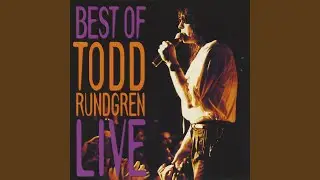 Something to Fall Back On (Live Chicago 1991)
