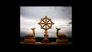 Dharma Reflection - 04/14/2022