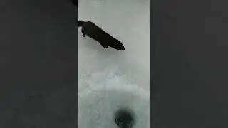 20181129 150146