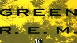 R.E.M. - The Wrong Child