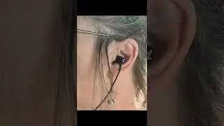 LUDOS OMNITONE Wired Earbuds: In-Ear Headphones with Mic - Amazing Sound Quality!