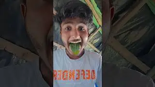 🔥 Hana&rsquo;s Spicy Showdown! Eating Chili Peppers & Lizqrds Like a Pro 😜🌶️🐊