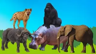 Long Legs Maze Game | Cartoon Animal Challenge | Gorilla Elephant Bull Hippo Hyena New Cartoon 2023