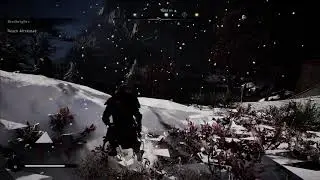 AC Valhalla Texture Glitch
