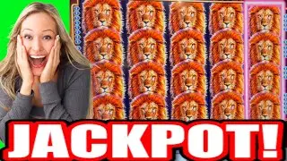 **JACKPOT!!!** FULL SCREEN! MAX BET! King of Africa Slot Machine (WMS) #handpay