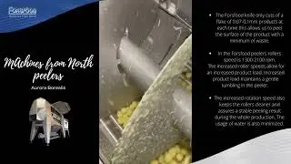 Peek Inside the Forsfood peeler
