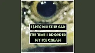 The Time I Dropped My Ice Cream