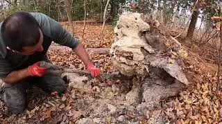 OMG!!! Metal Detecting the Battle of Cold Harbor and finding a Civil War ARTILLERY SHELL IN A TREE!!