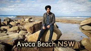 🏖️ Avoca Beach ⛱️ Central Coast - Suburb in NSW 