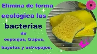 Elimina en 3 pasos las bacterias de los trapos y estropajos de forma ecológica