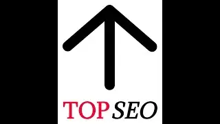 Chicago SEO (773) 232-4-SEO